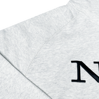 NPC HOODIE (ICE GRAY)